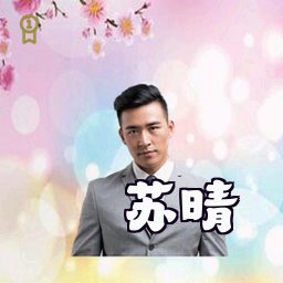 苏晴